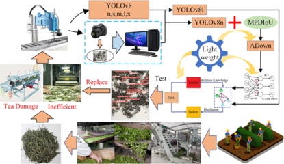大模型研究：通过剪枝技术实现模型轻量化的最新探索​